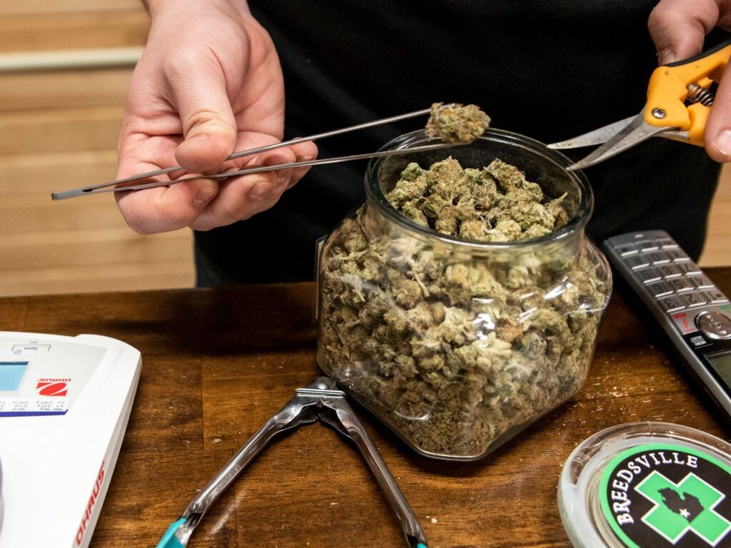 Medical Marijuana