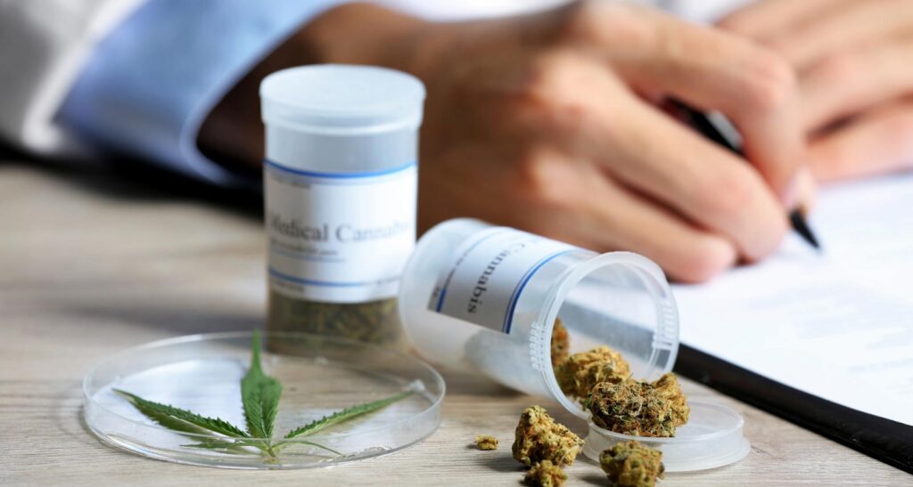 The Importance of Medical Cannabis Dosing Studies